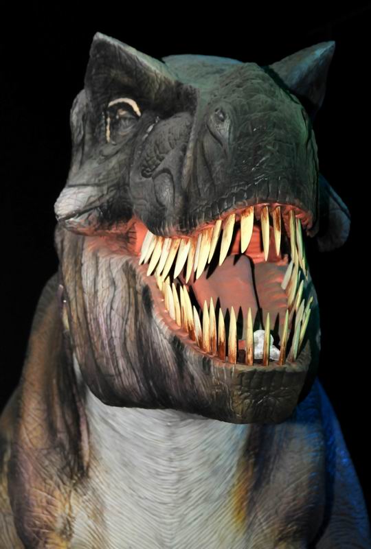 2010_07_01_07131.jpg