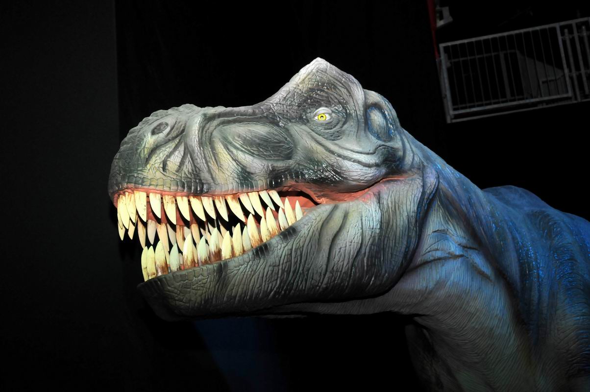 2010_07_01_07134.jpg