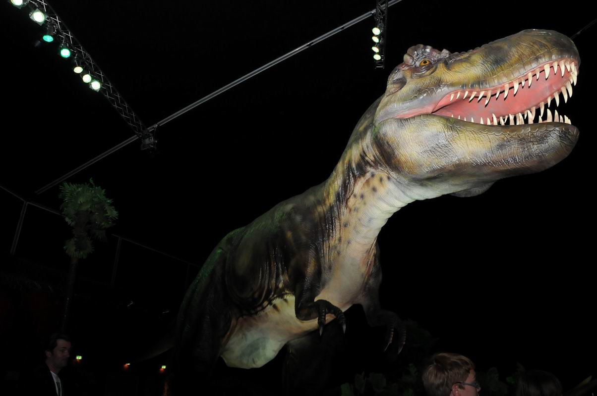 2010_07_01_07136.jpg