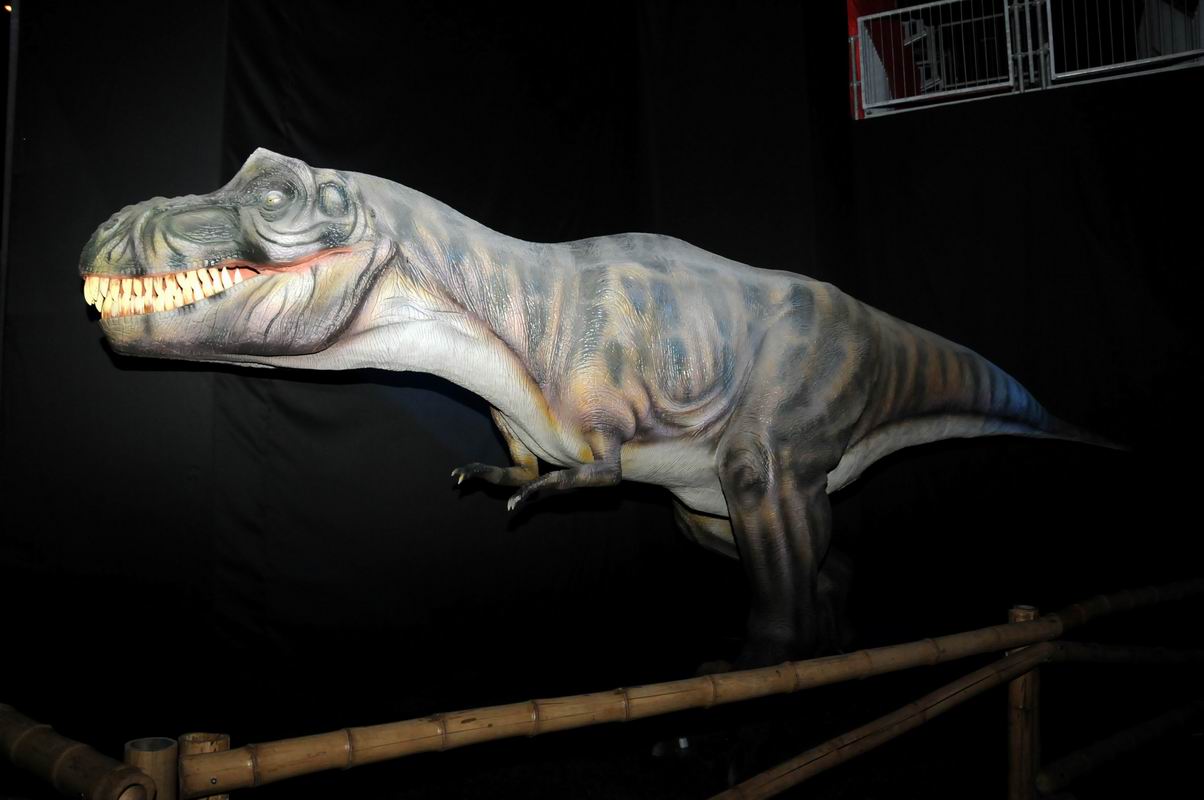 2010_07_01_07143.jpg