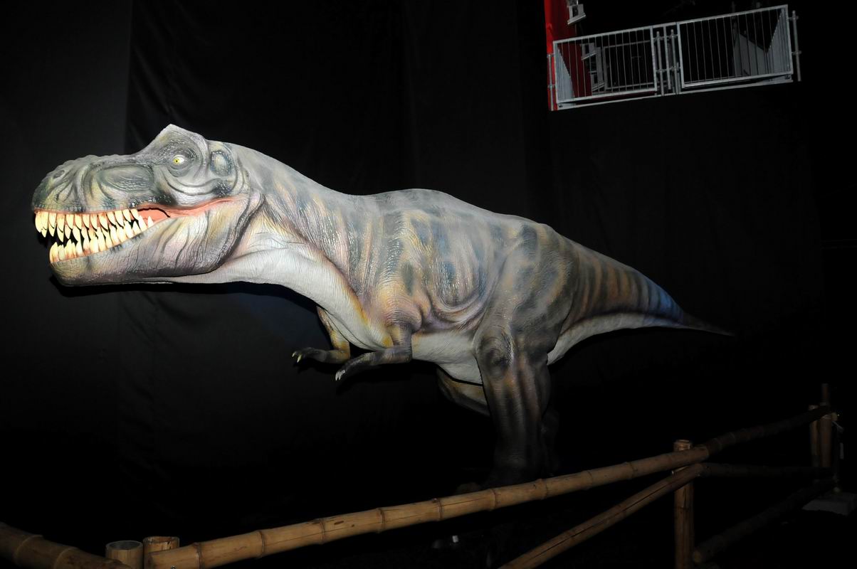 2010_07_01_07144.jpg