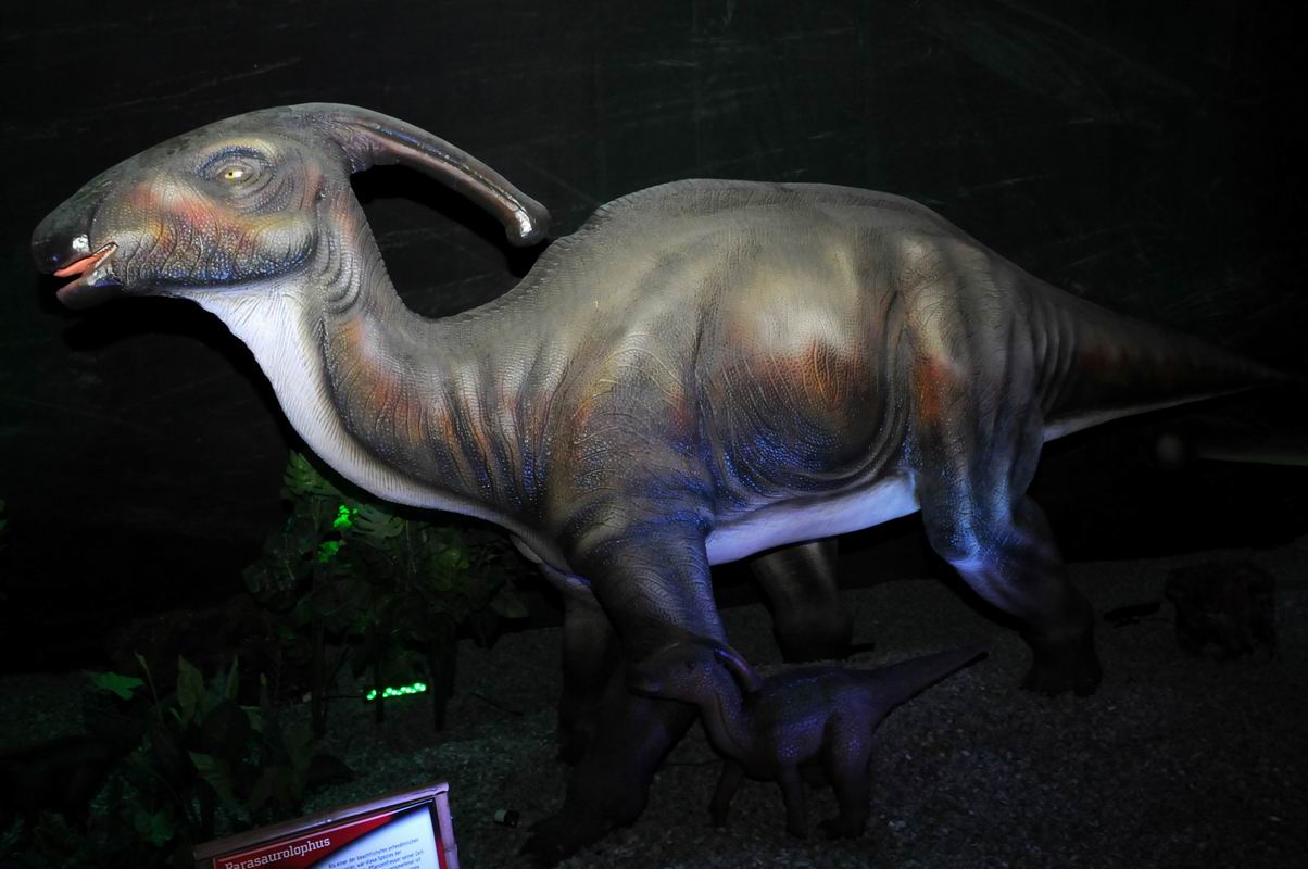 2010_07_01_07148.jpg