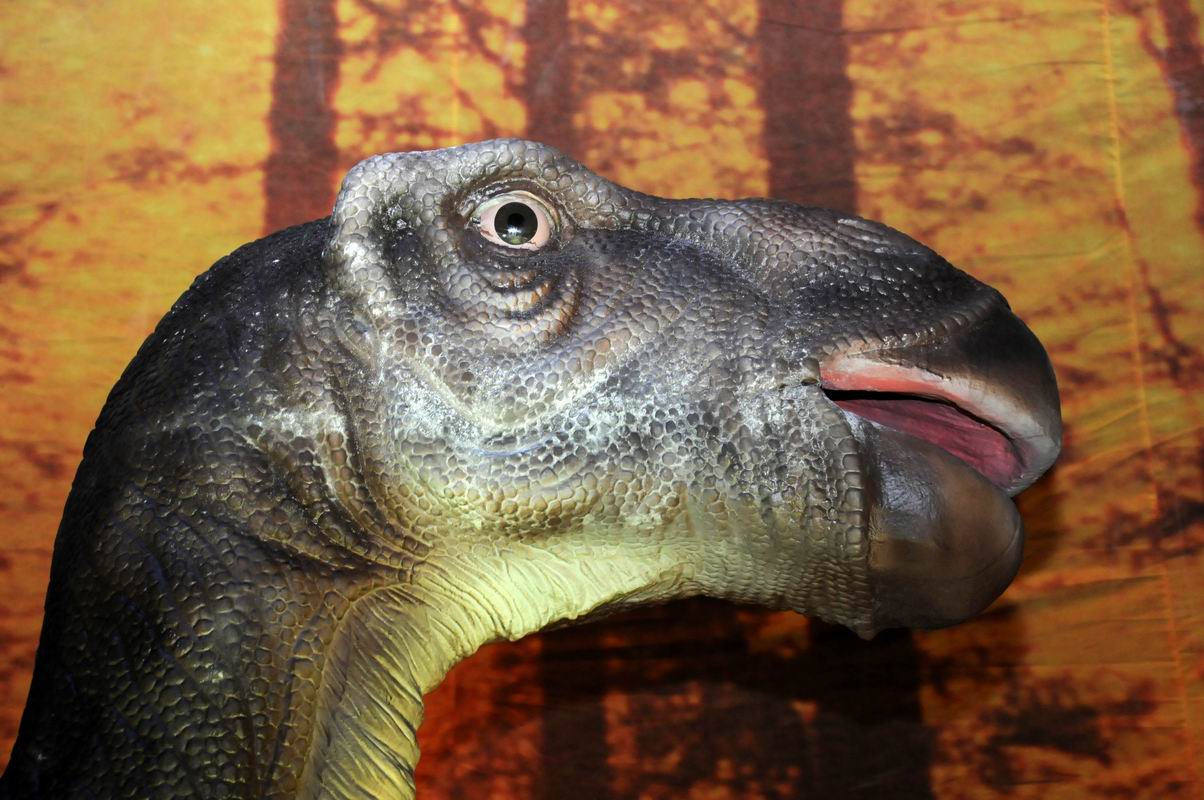 2010_07_01_07163~0.jpg
