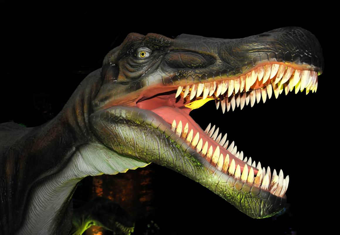 2010_07_01_07510.jpg