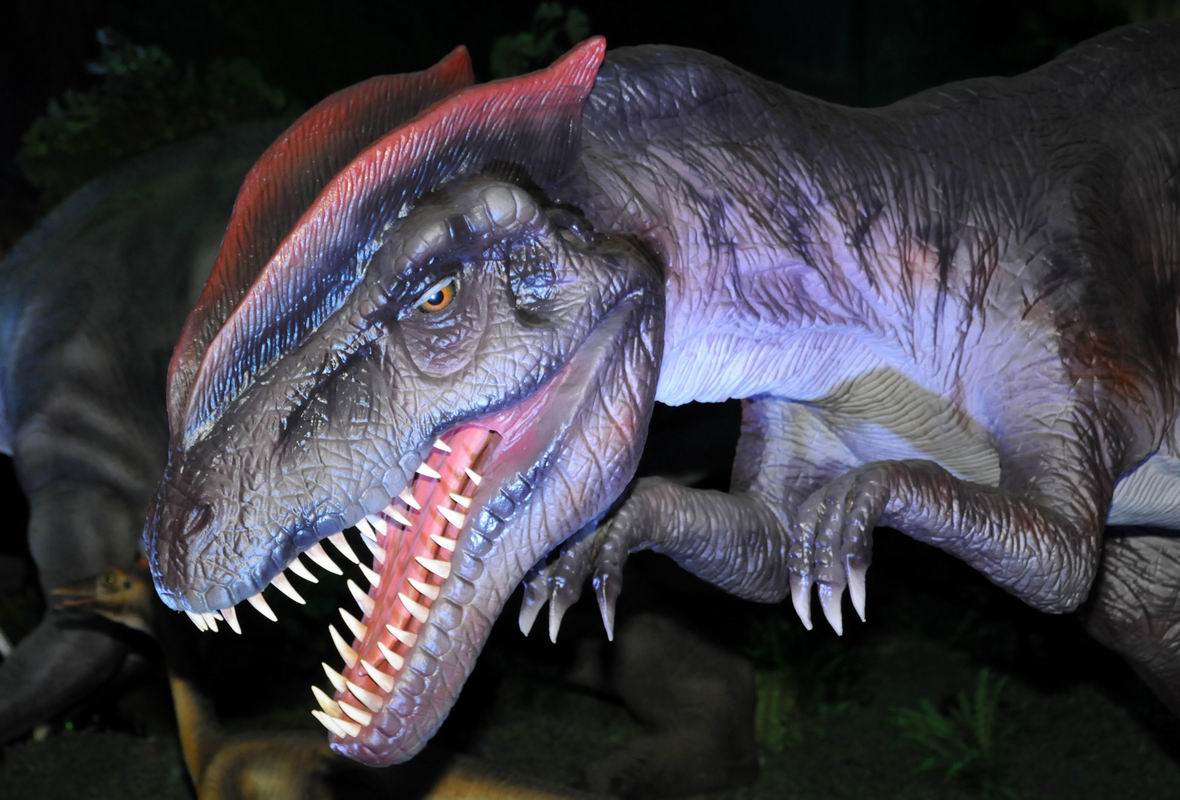 2010_07_01_07511.jpg