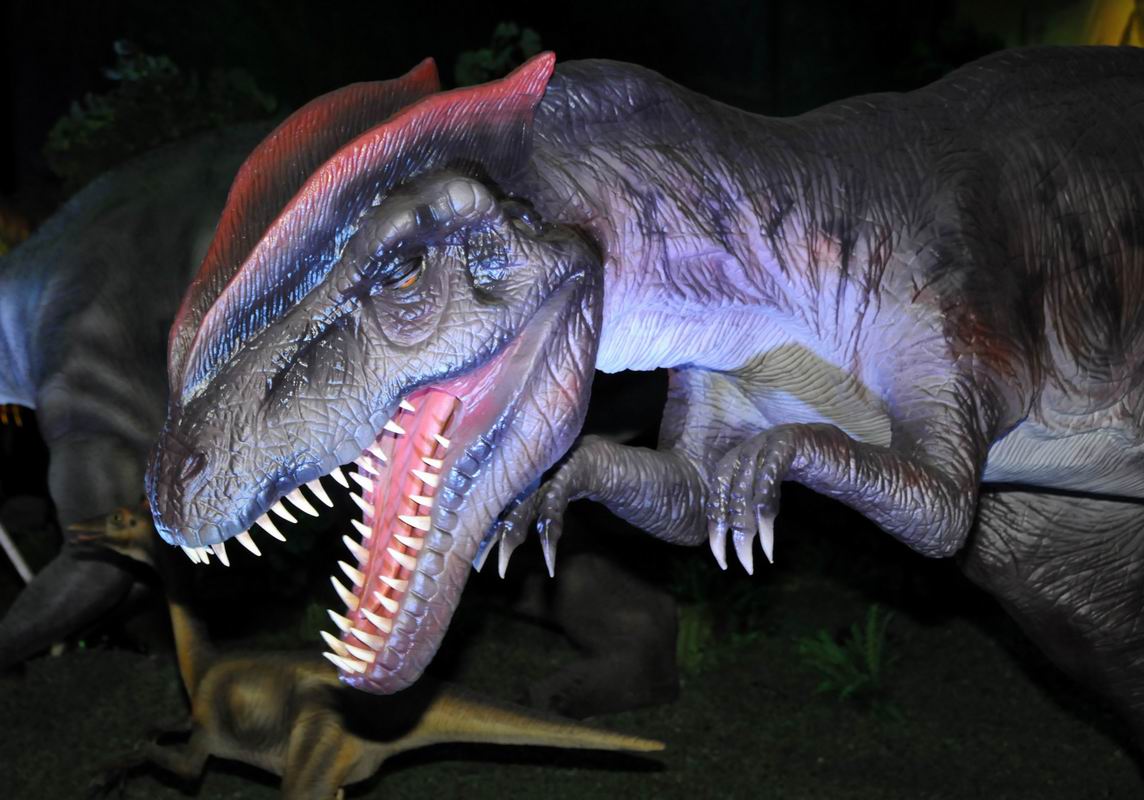 2010_07_01_07512.jpg