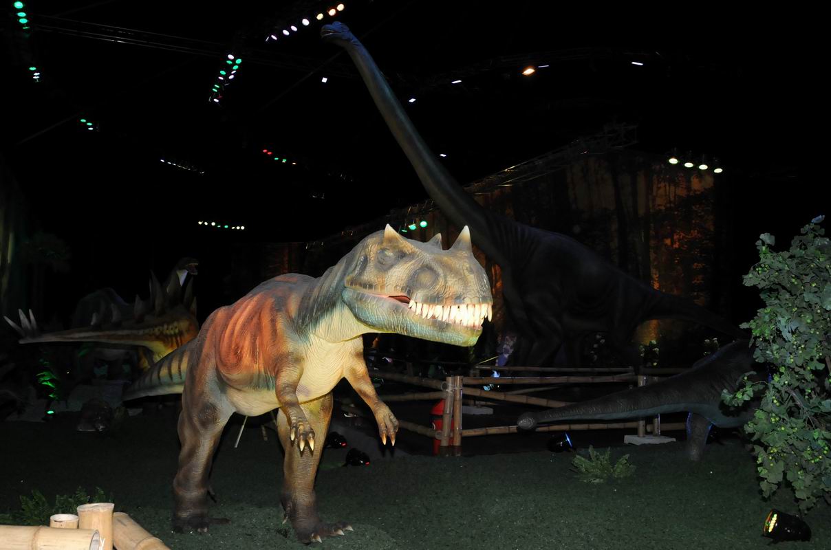 2010_07_01_07515.jpg