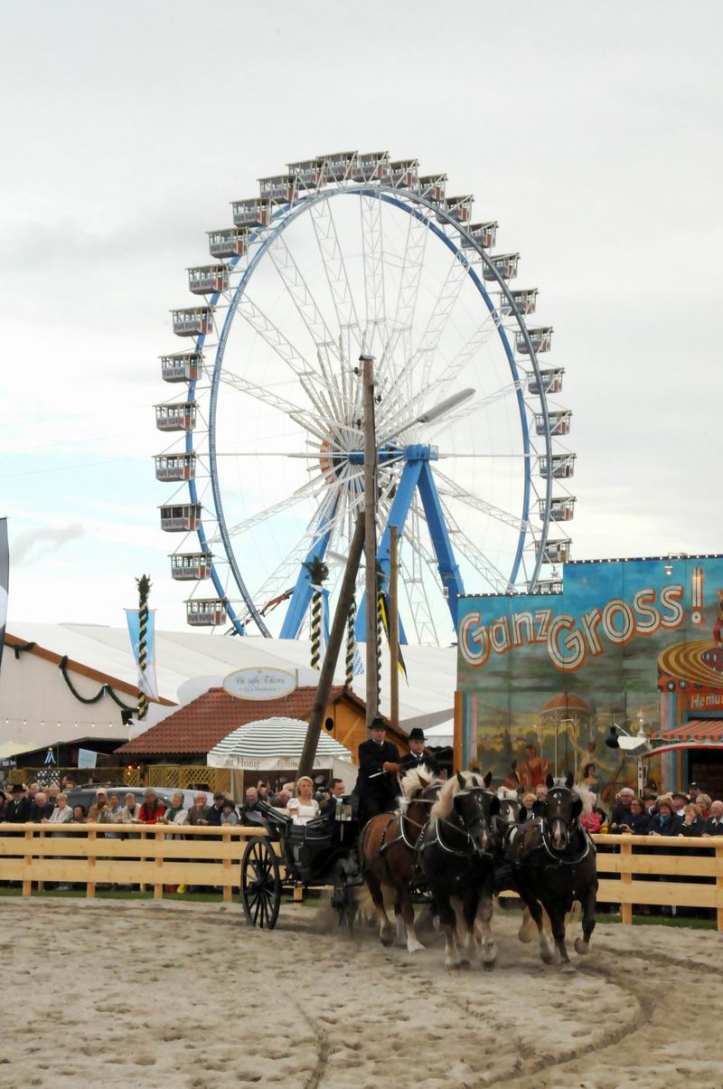 2010_09_17_04388~0.jpg
