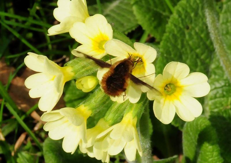 2011_04_08__0050.jpg