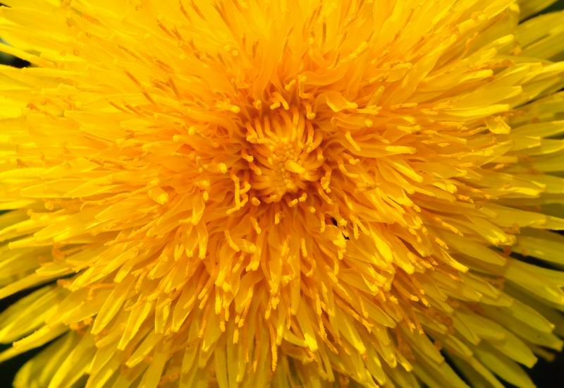 2011_04_25__6920.jpg