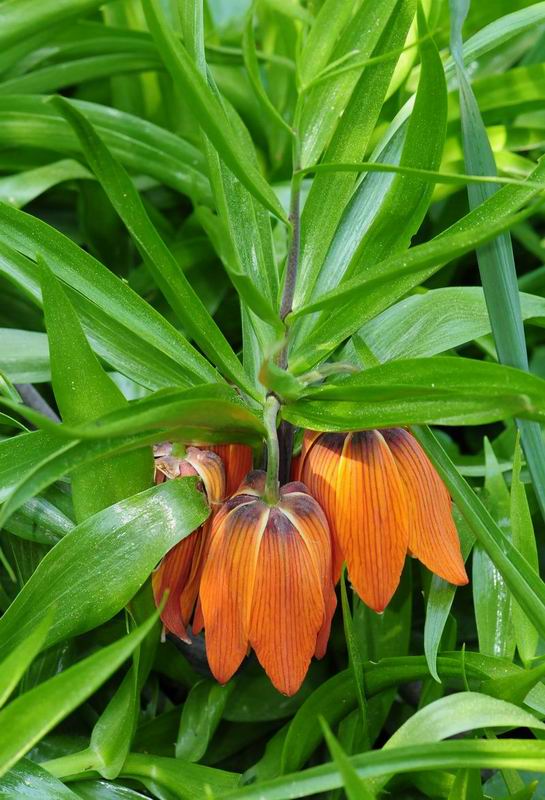 2011_04_25__6995.jpg