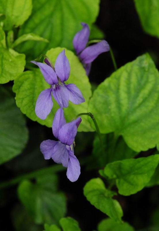 2011_04_25__7028.jpg