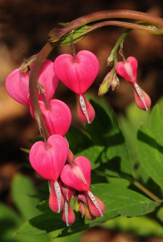 2011_04_25__7039.jpg