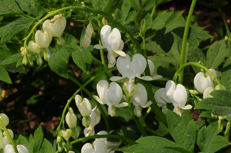 2011_04_25__7051.jpg