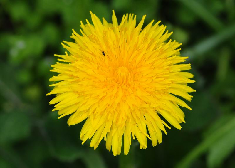 2011_04_25__7059.jpg