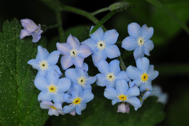 2011_04_25__7068.jpg