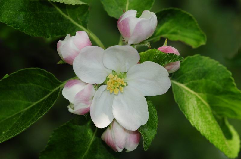 2011_04_25__7087.jpg