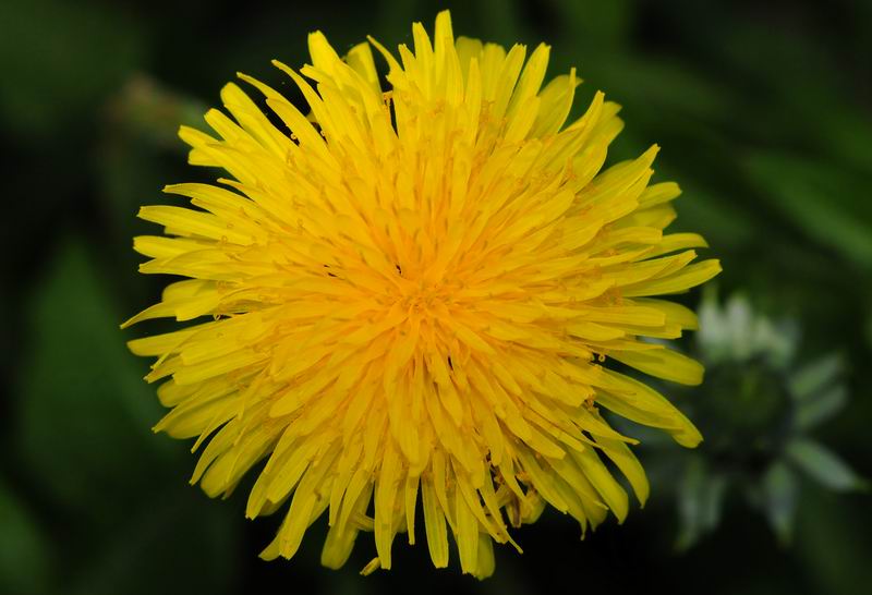2011_04_25__7143.jpg