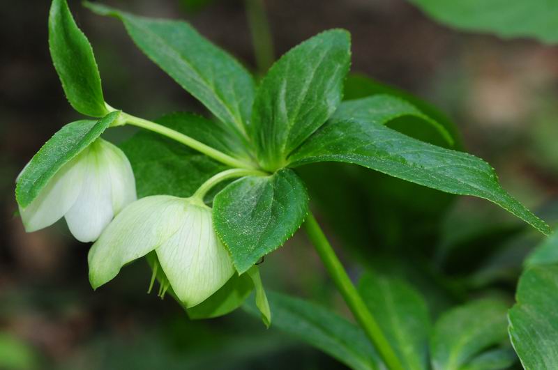 2011_04_25__7147.jpg