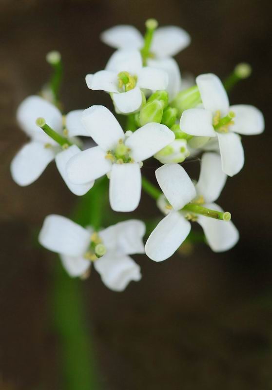 2011_04_25__7160.jpg