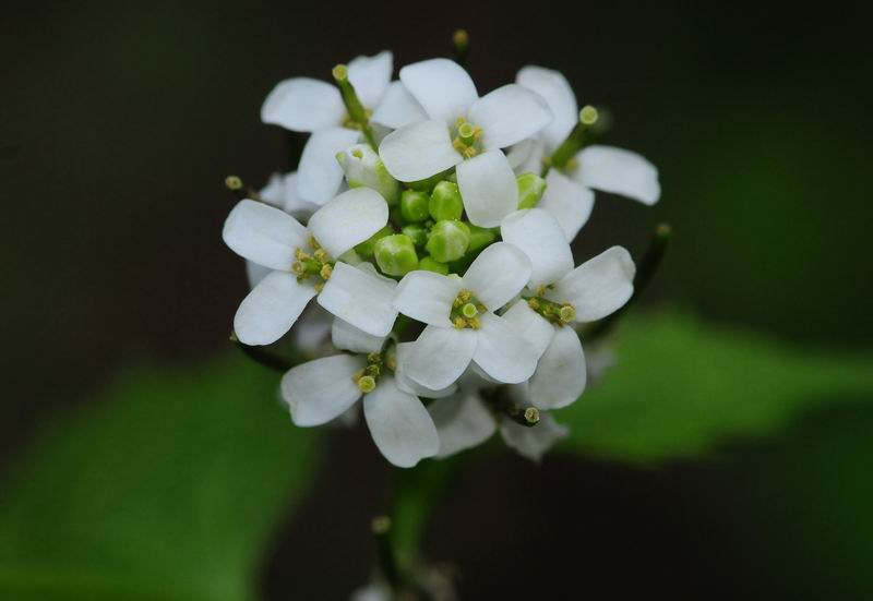 2011_04_25__7169.jpg