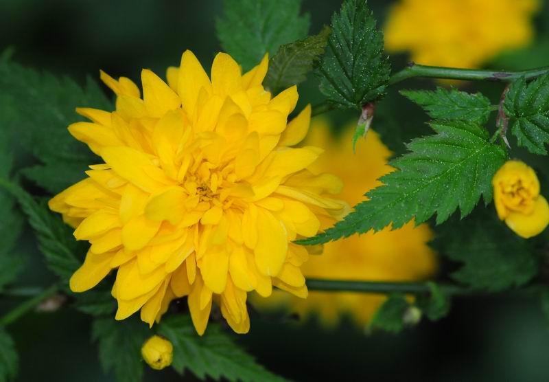2011_04_25__7230.jpg