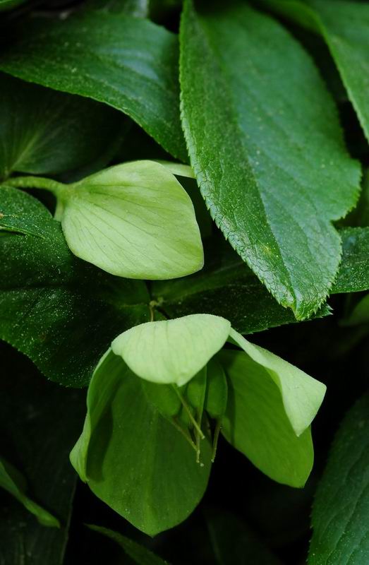 2011_04_25__7245.jpg