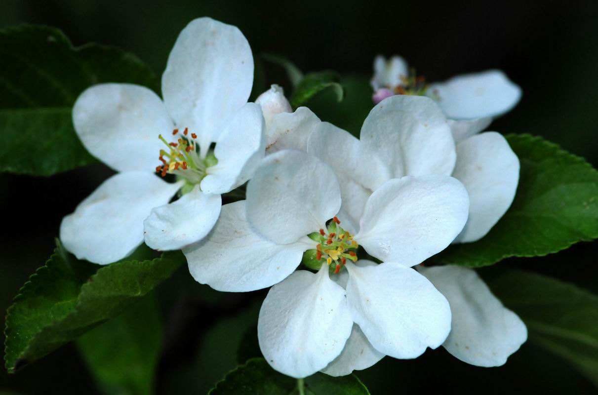 2011_05_02__3904.jpg