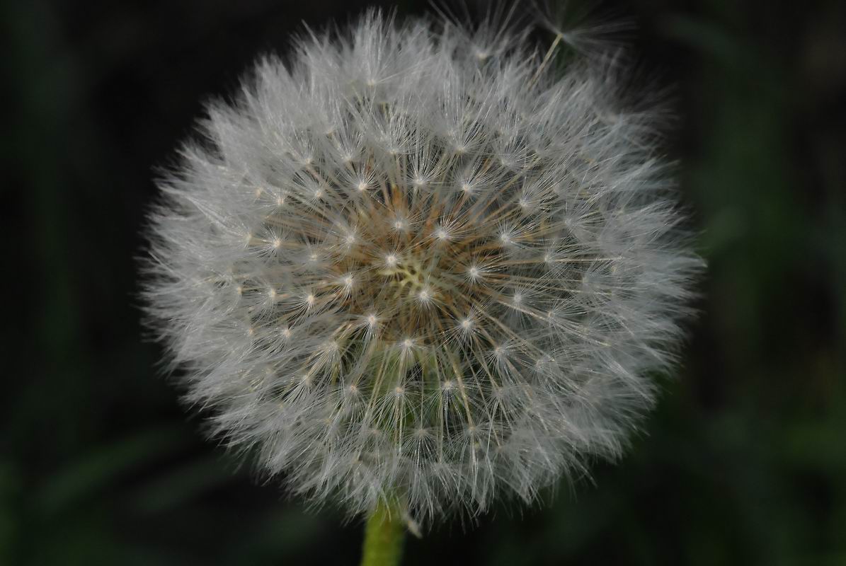 2011_05_04__4266.jpg
