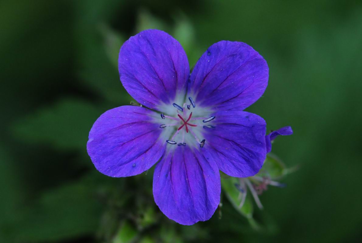 2011_05_09__9065.jpg