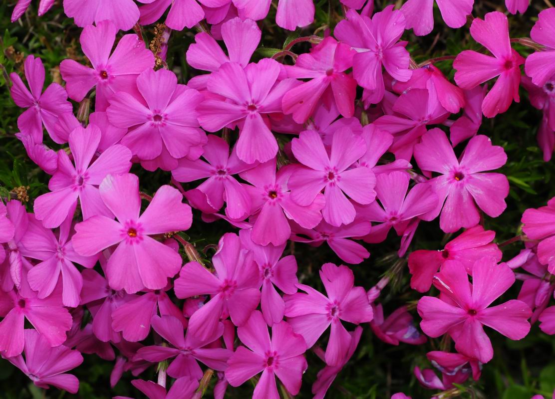 2011_05_11__0594.jpg