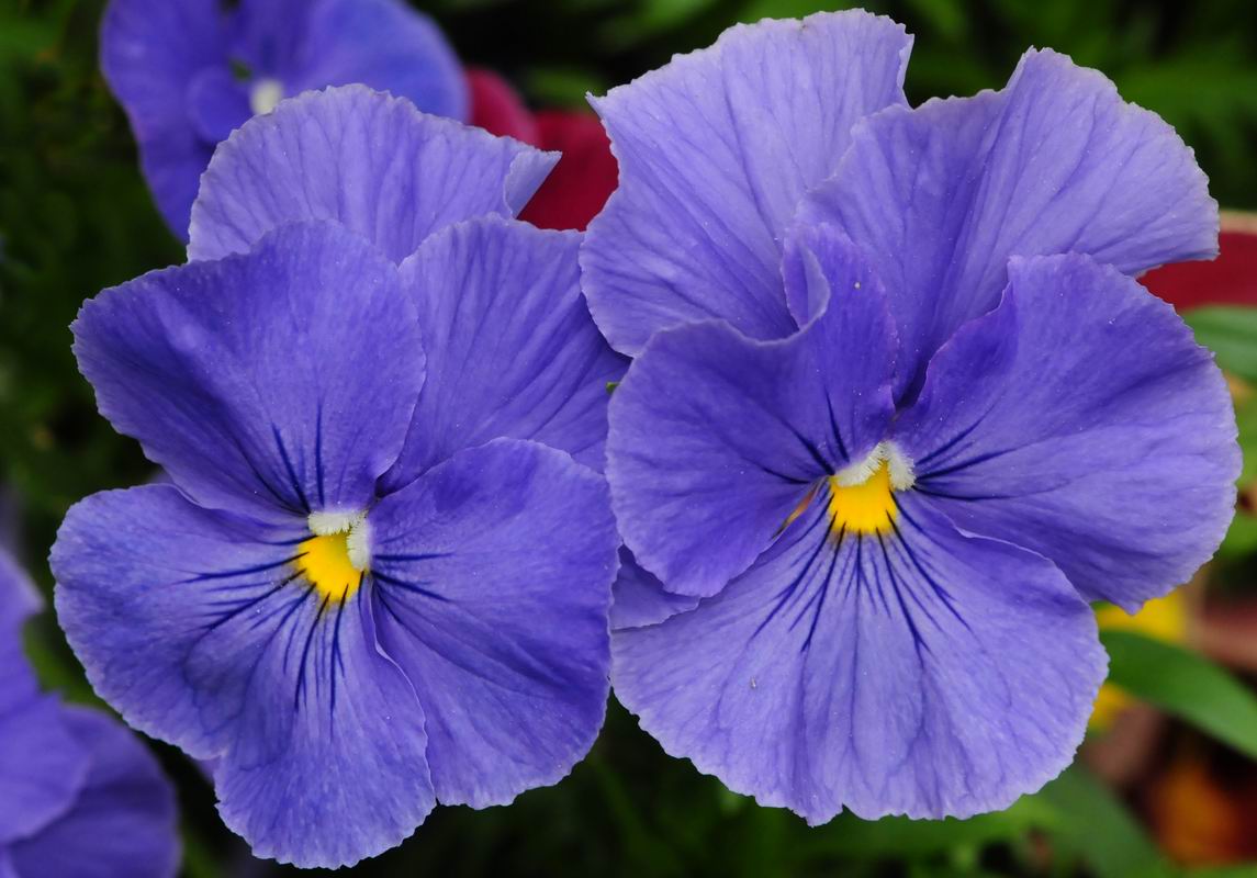 2011_05_11__0597.jpg