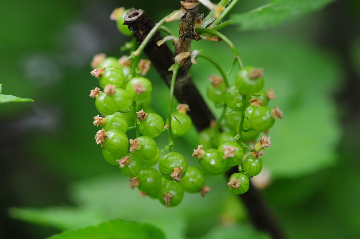 2011_05_11__0844.jpg