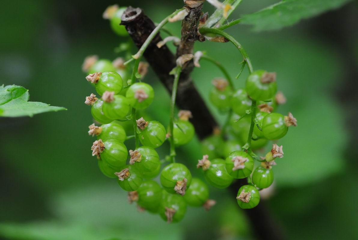 2011_05_11__0874.jpg