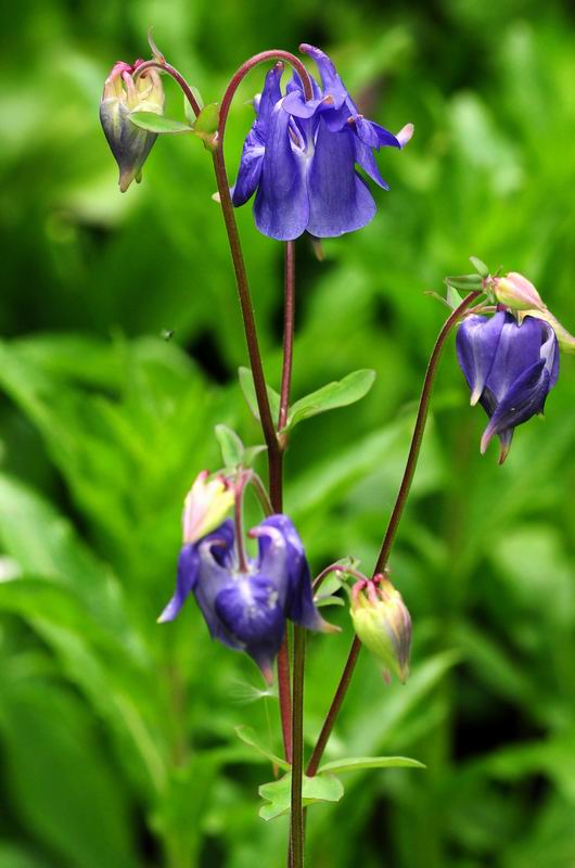 2011_05_17__5847.jpg