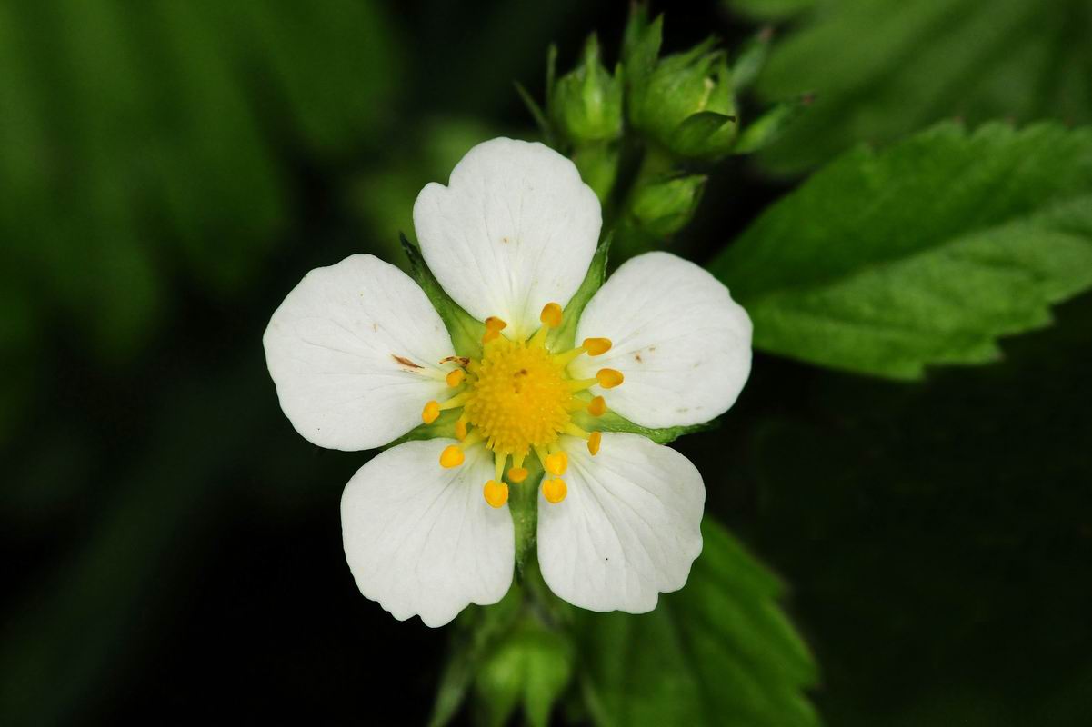 2011_05_17__5969.jpg