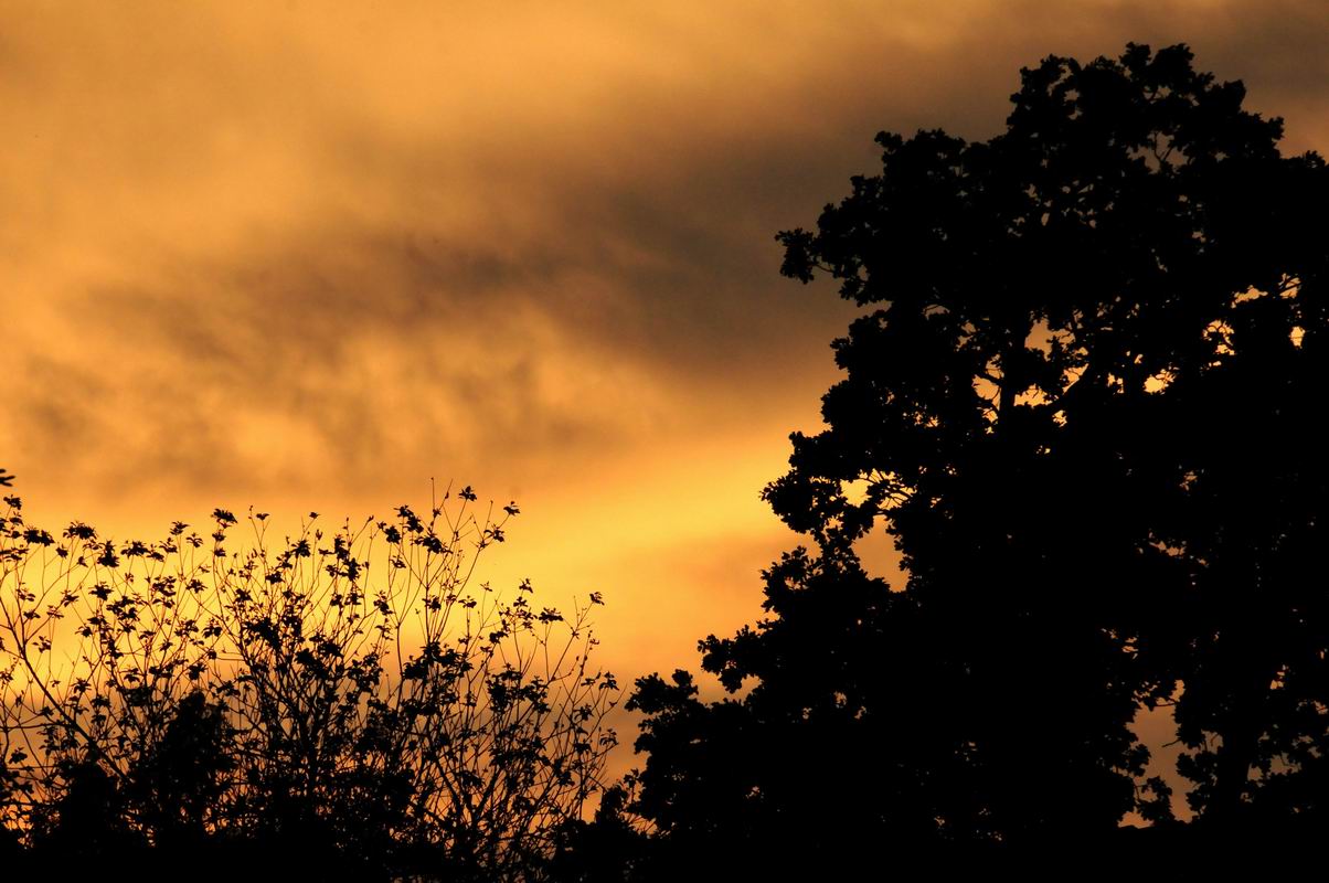 2011_05_20__8348.jpg