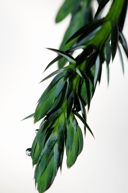 2011_05_21__9275.jpg