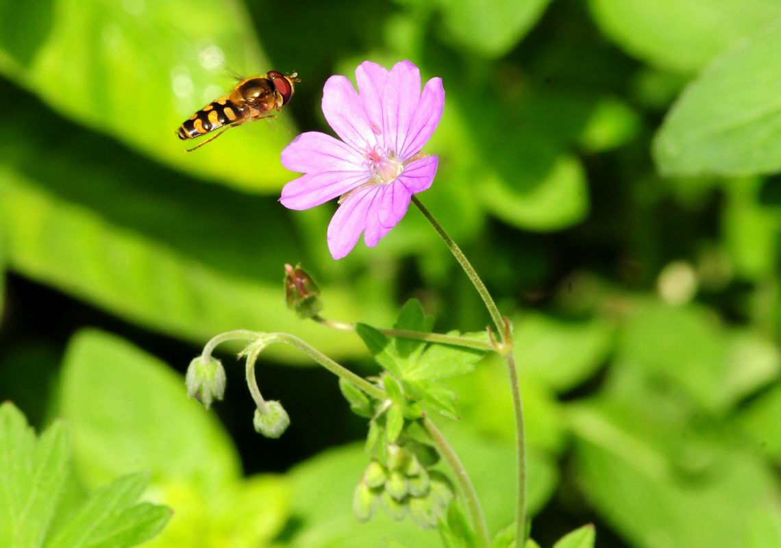 2011_05_23__09004.jpg