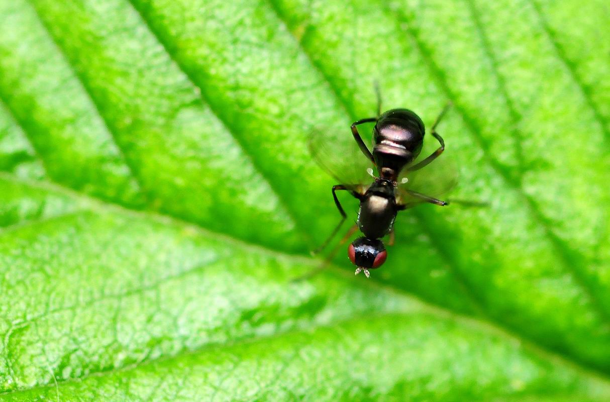 2011_05_23__1024.jpg