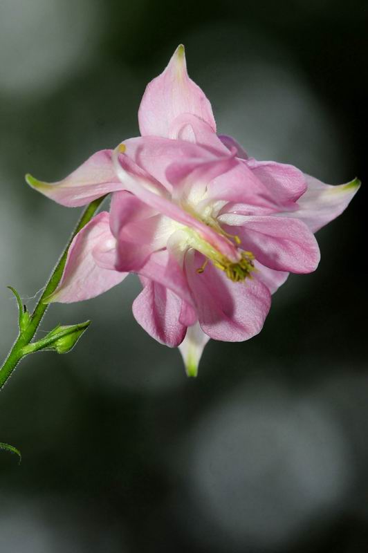 2011_05_26__2847.jpg