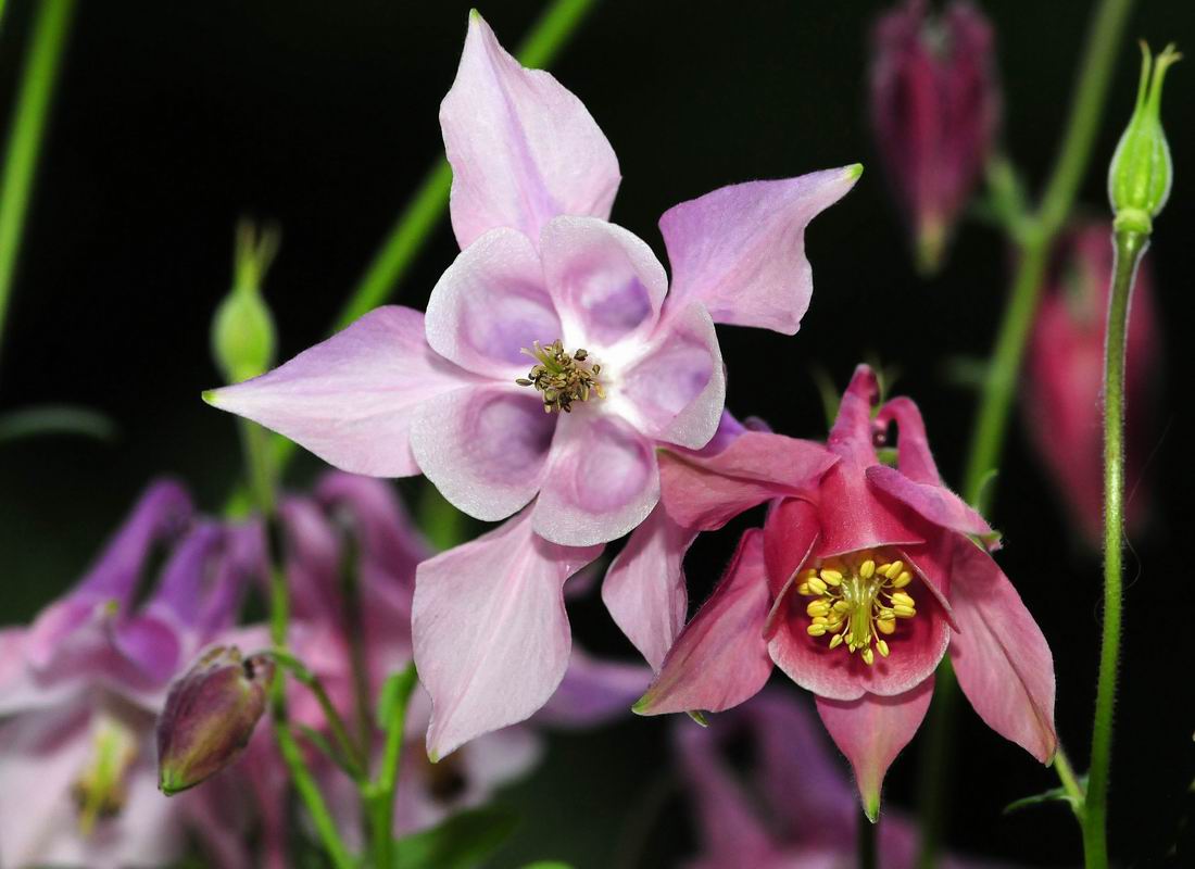 2011_05_26__2853.jpg