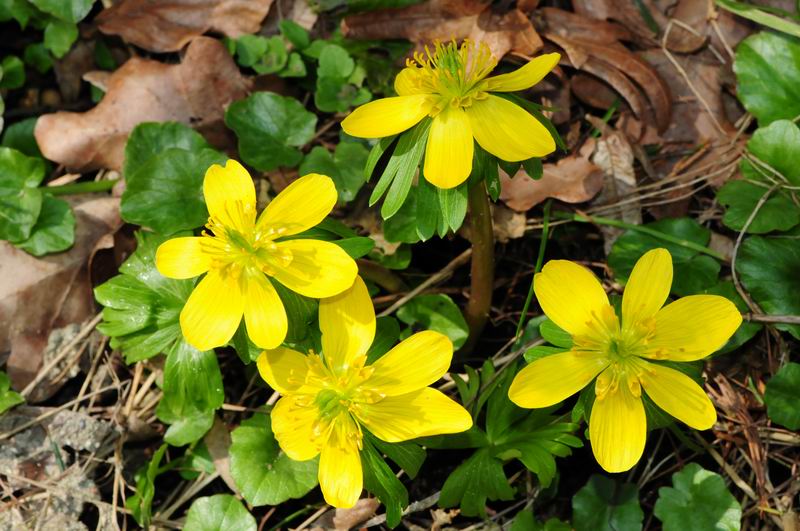 2012_03_15__09154.jpg