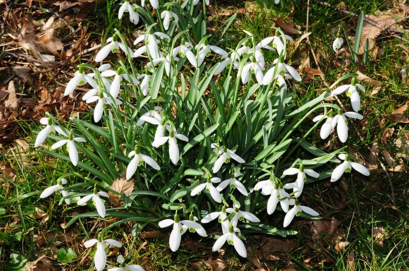2012_03_15__09158.jpg