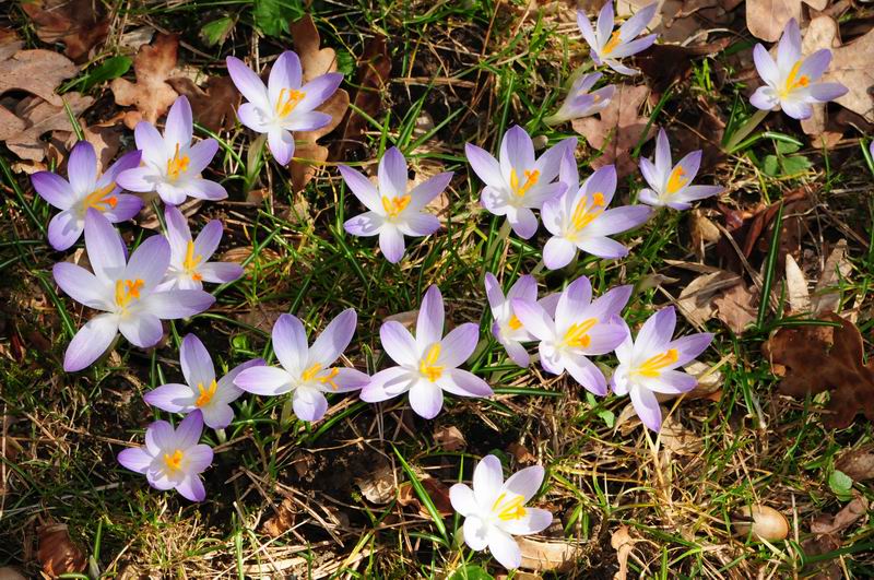 2012_03_15__09196.jpg