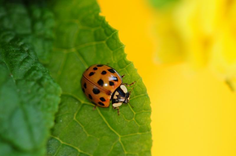 2012_03_17__09868.jpg