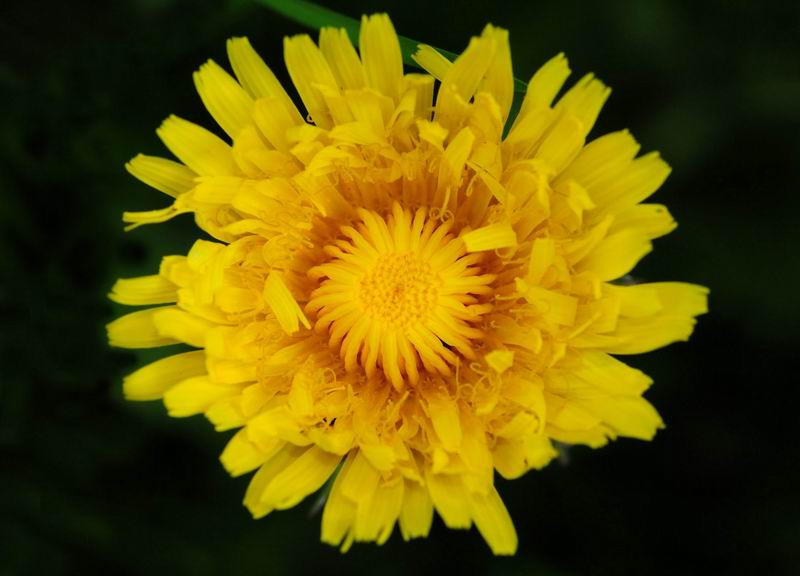2012_04_30__089410.jpg