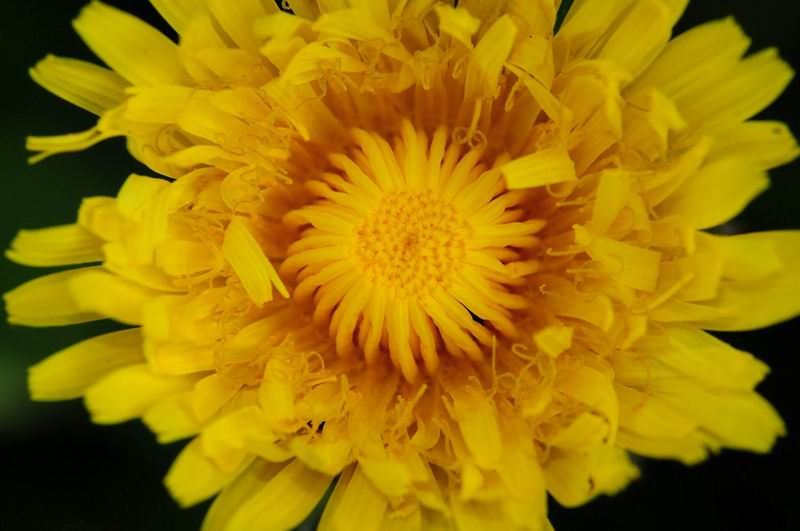 2012_04_30__08944.jpg