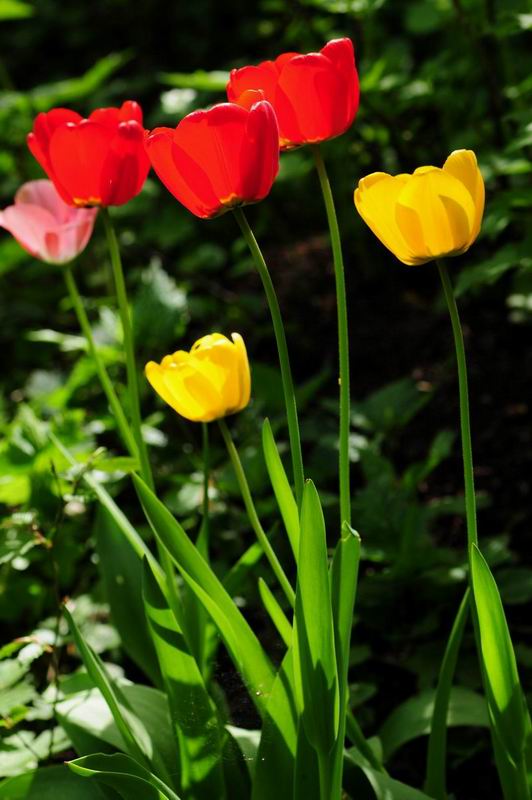 2012_04_30__09048.jpg
