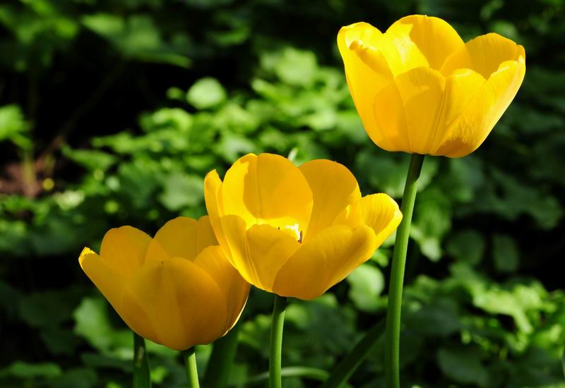 2012_04_30__09145.jpg